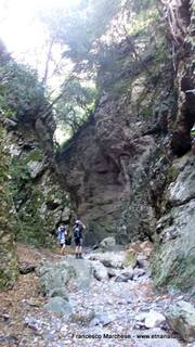 nte Scuderi-23-11-2014 09-46-57